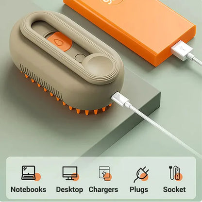 Pet steam brush